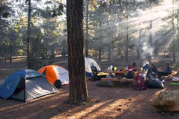 How to Keep Your Campsite Clean Places