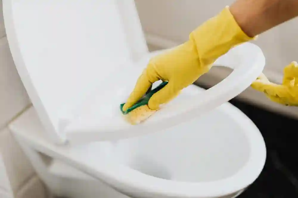 Cleaning the Toilet Seat