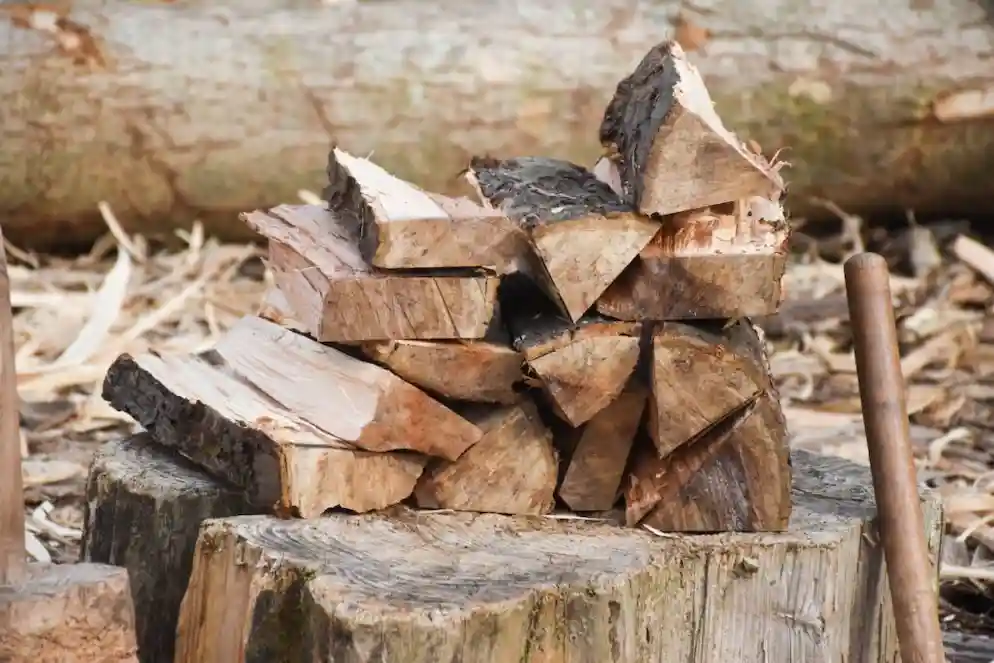 Use Dry Wood for fire