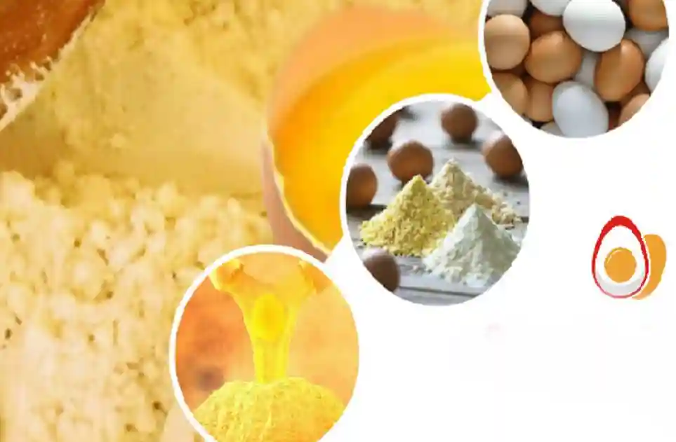 Benefits of Using Powdered Eggs