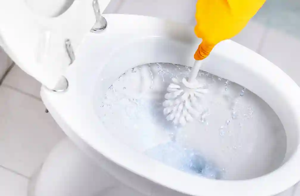 Cleaning the Toilet Bowl