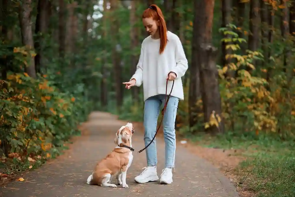 Setting Boundaries for Your Dog
